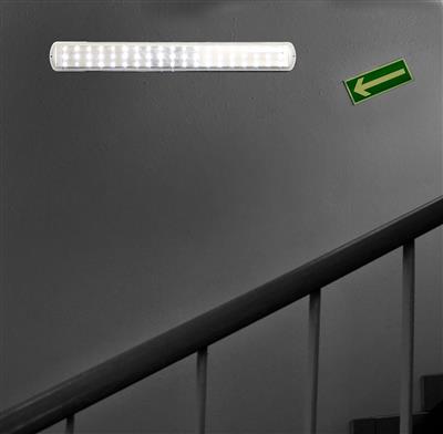 Ranex 10.013.97 Lampada di sicurezza LED ricaricabile 6000.451